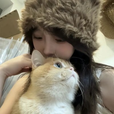 金车美人